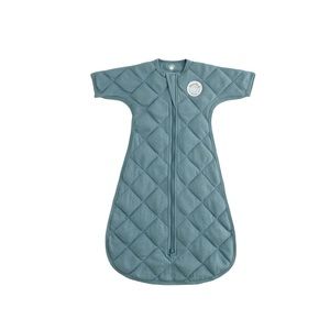 Dreamland Weighted Transition Swaddle